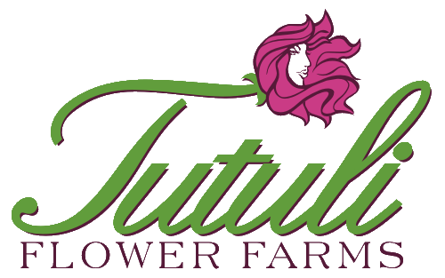 Tutuli Flower Farms logo and illustration